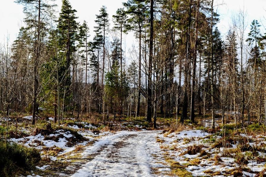 Mullsjö Marston Hillゲストハウス エクステリア 写真